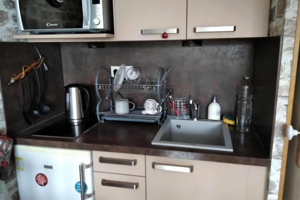 - un comptoir de cuisine avec évier et four micro-ondes dans l'établissement Le nid de Chamechaude, à Saint-Pierre-de-Chartreuse