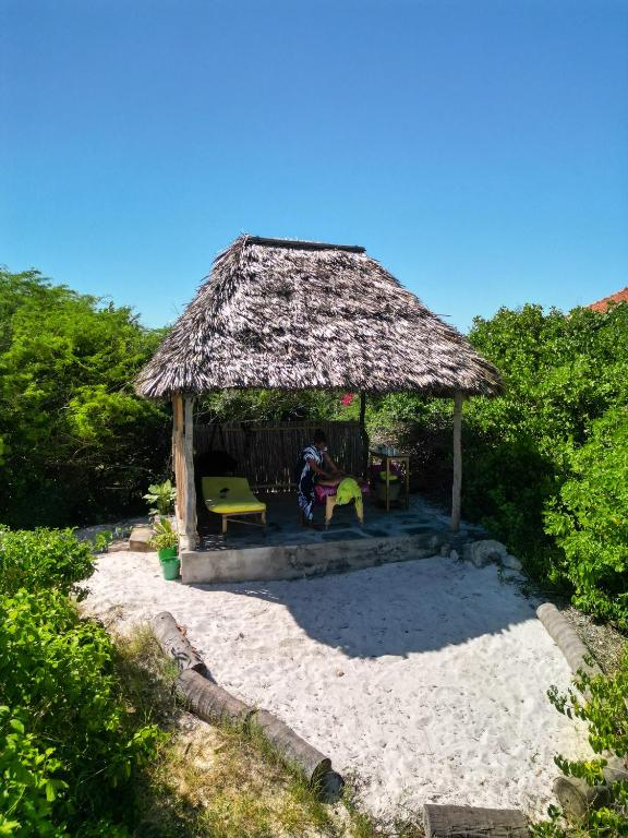 Příroda nedaleko bed and breakfast