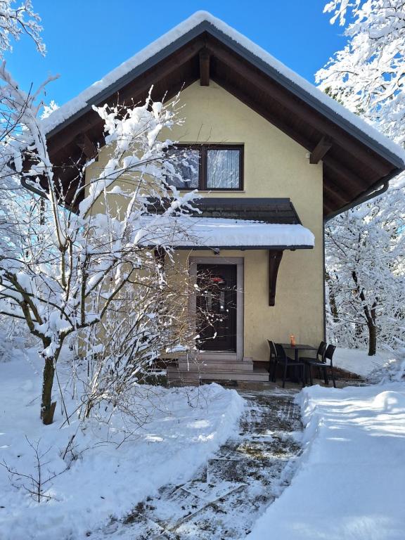 a house in the snow with snow covered trees at Holiday Home Lemut in Kranj