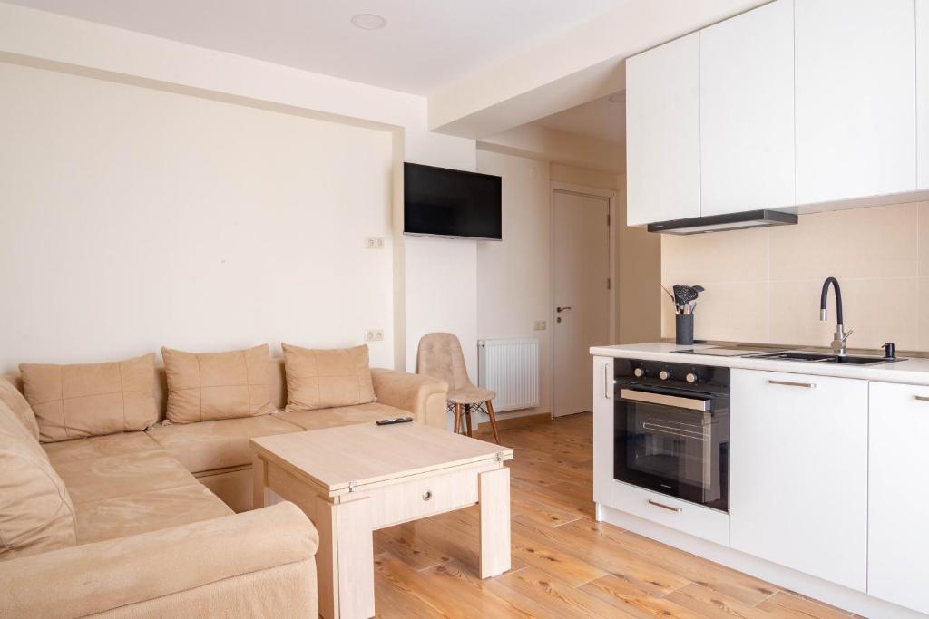 Kuchyň nebo kuchyňský kout v ubytování 2-room apartment New Gudauri F1