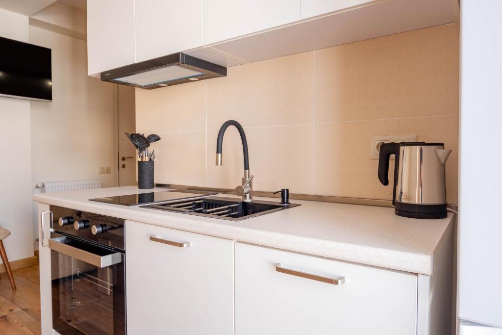Kuchyň nebo kuchyňský kout v ubytování 2-room apartment New Gudauri F1