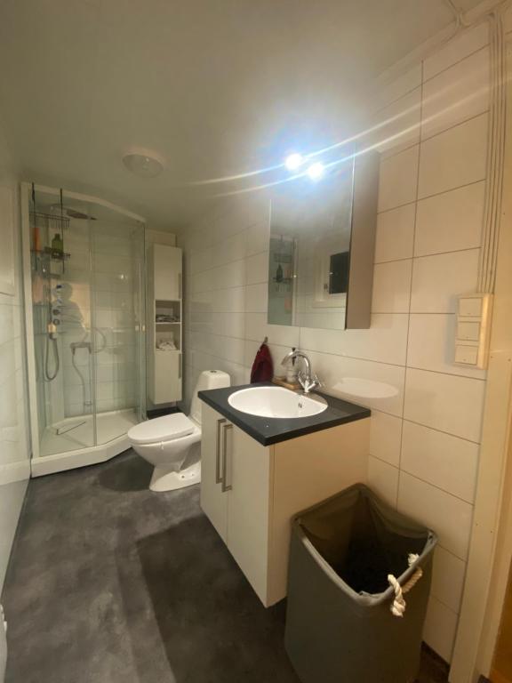 uma casa de banho com um lavatório e um WC em Cozy cabin with amazing sauna house em Straumen