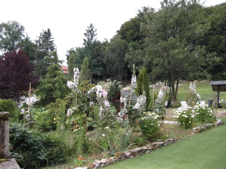 un jardin avec des fleurs blanches dans une cour dans l'établissement Gîte du Theil, en campagne, à Lépinas