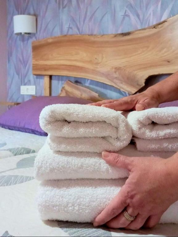 Postel nebo postele na pokoji v ubytování Casa rural Abascal