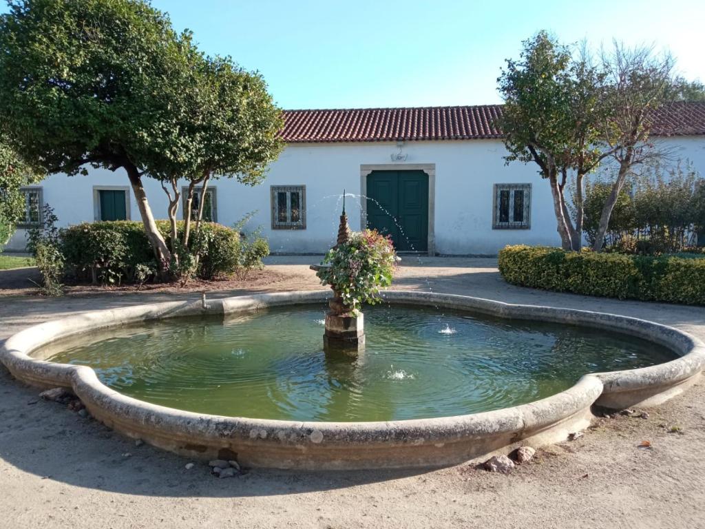Zahrada ubytování Palácio da Portela III
