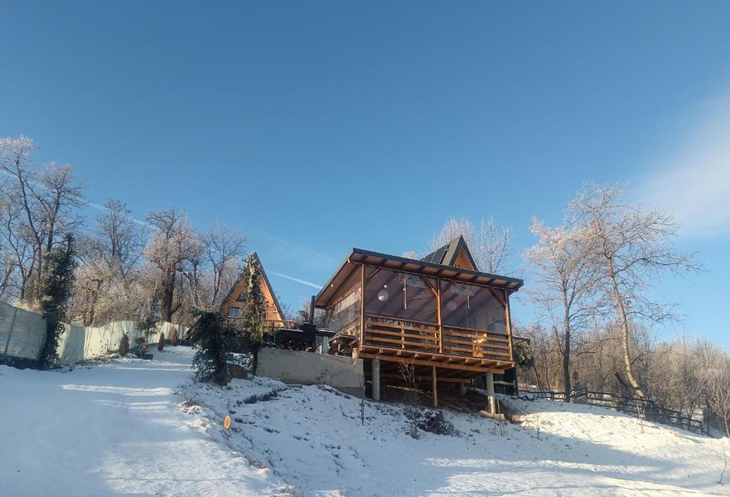 een huis op een heuvel in de sneeuw bij CarpatinA Rustic House in Runcu