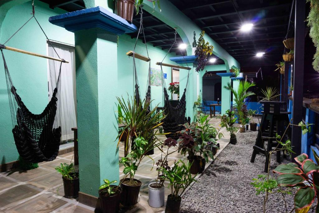 Zahrada ubytování Argdivan Hostel