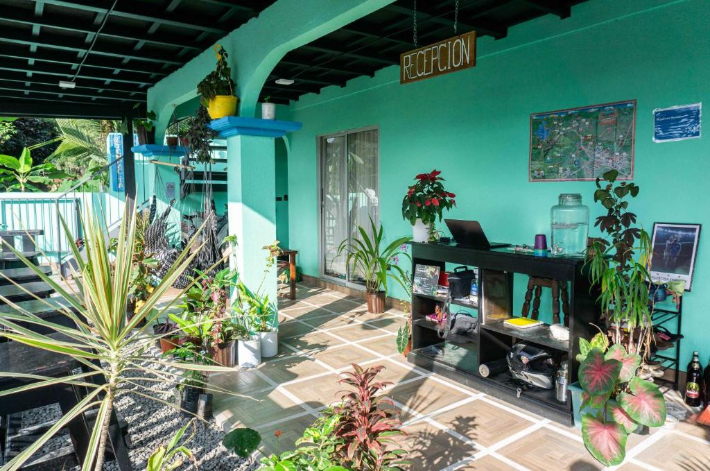 Fotografie z fotogalerie ubytování Argdivan Hostel v destinaci Fortuna