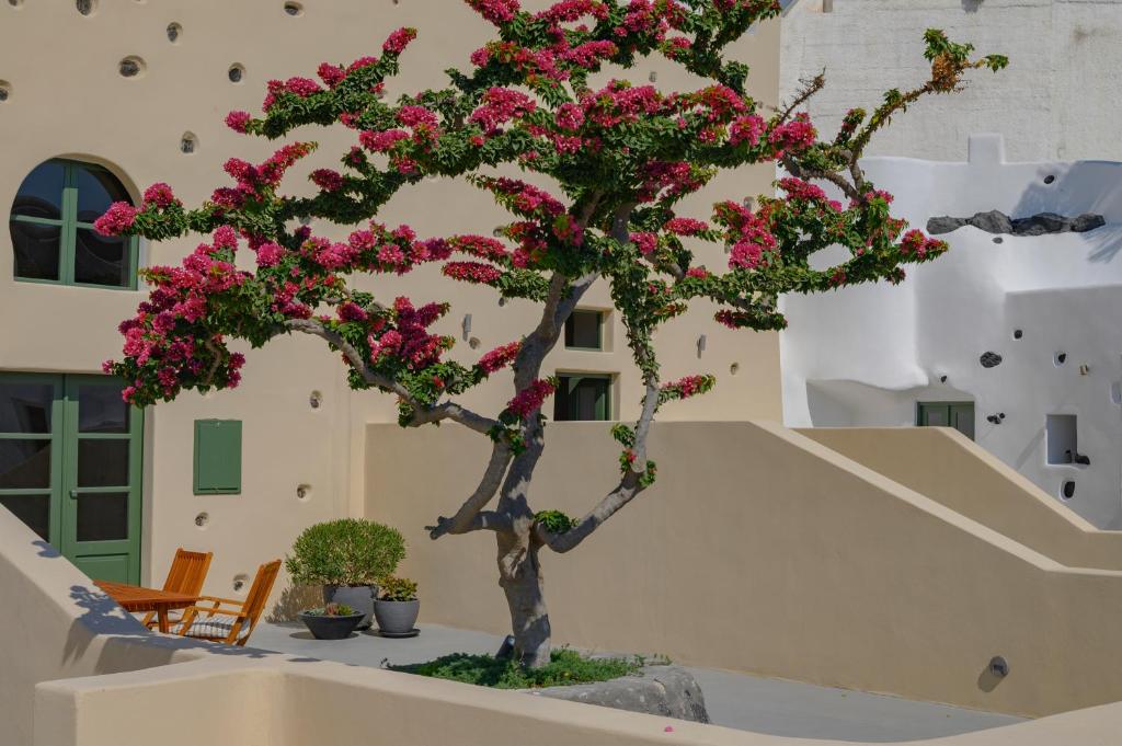 Vrt ispred objekta Elements Cave Suites