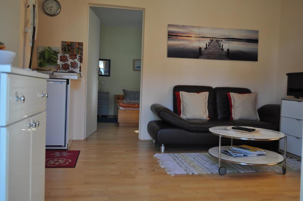 TV a/nebo společenská místnost v ubytování Ferienwohnung am Traunsee