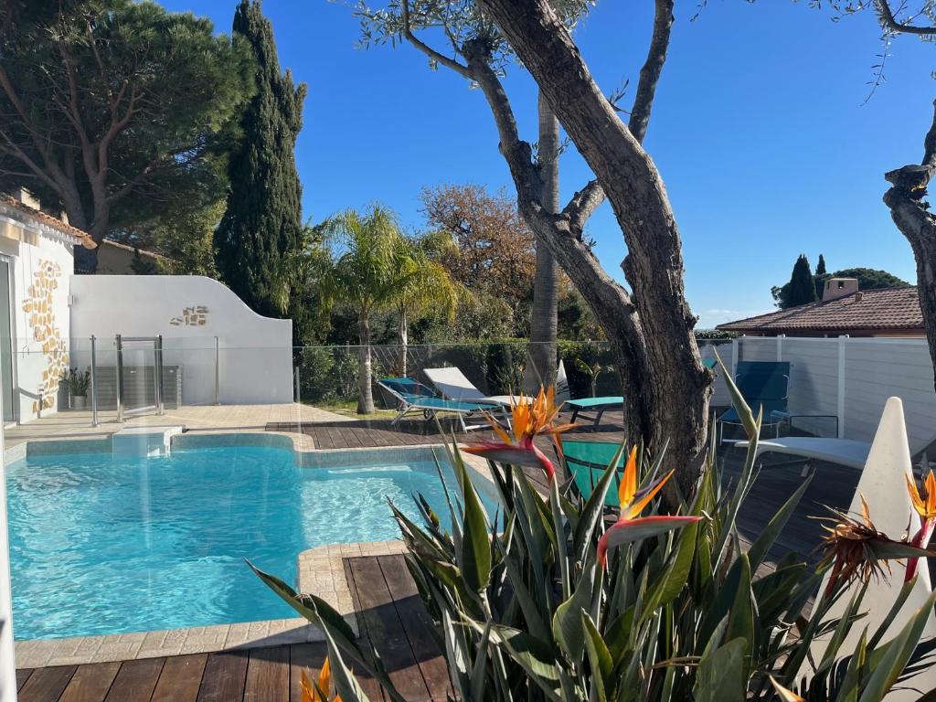 einen Pool im Hinterhof mit einem Baum in der Unterkunft Magnifique Villa Piscine Pergola Proche Mer in Carqueiranne