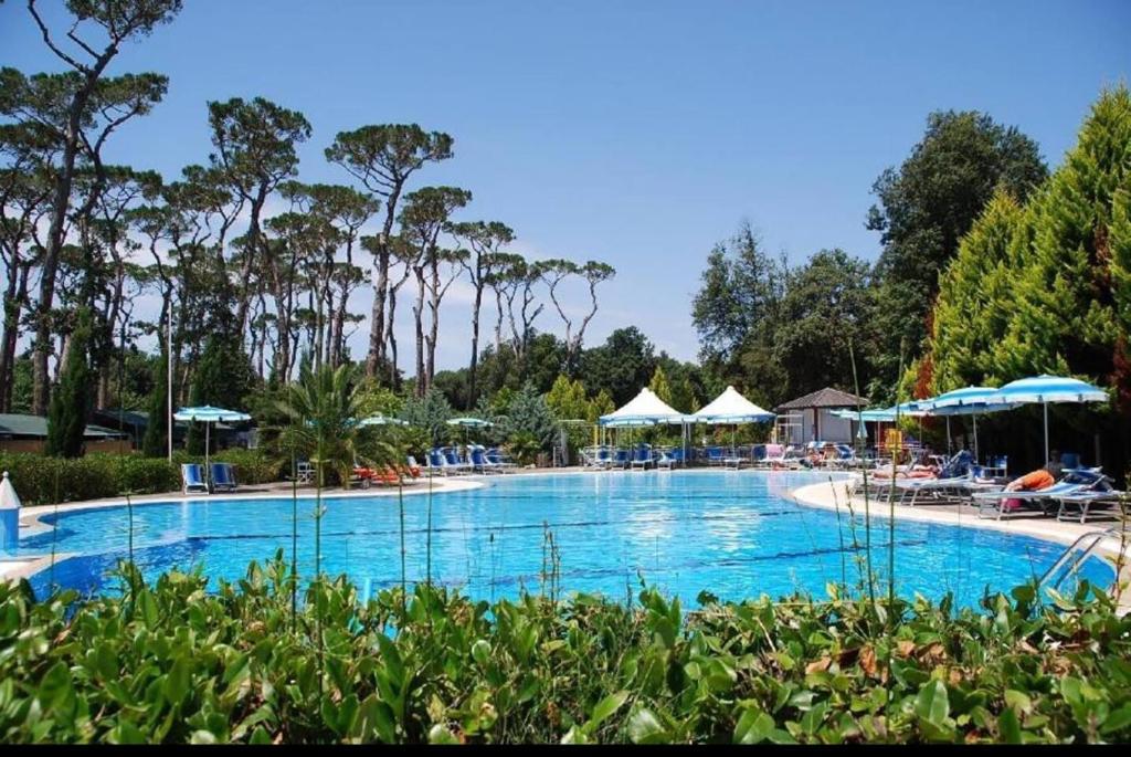 una grande piscina con sedie e ombrelloni di Comfortable campsite-chalet G8 Tuscany near sea a Viareggio