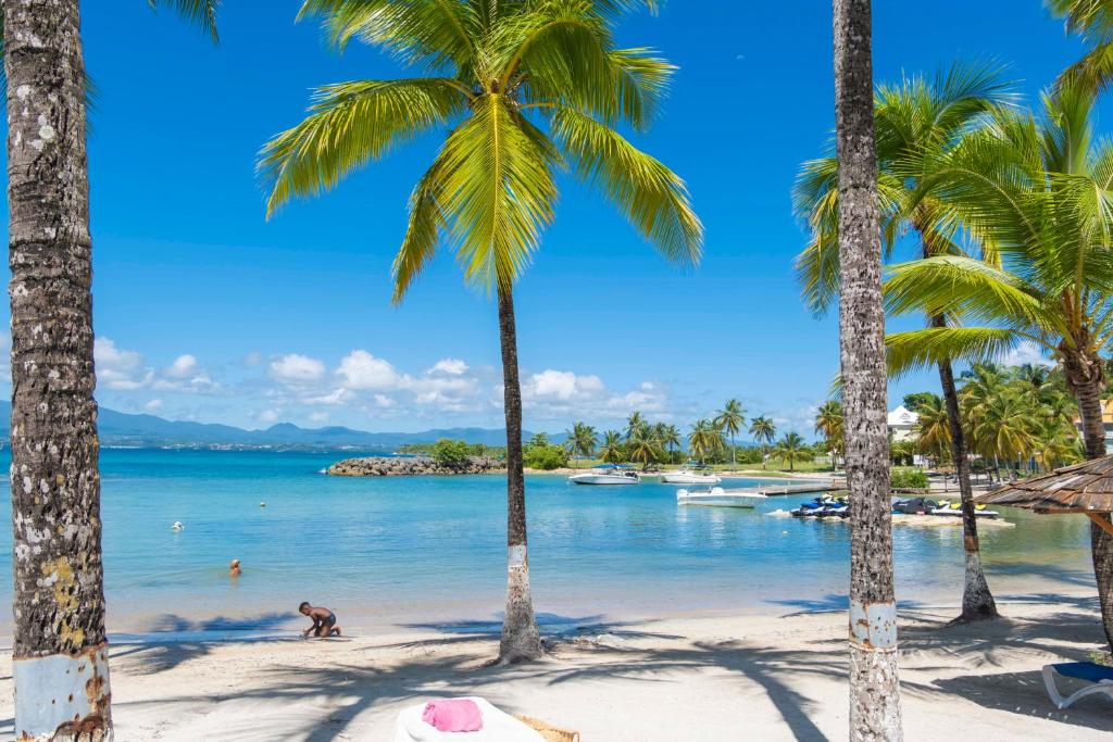 a beach with palm trees and the ocean at Hotel Fleur d'Epee in Le Gosier
