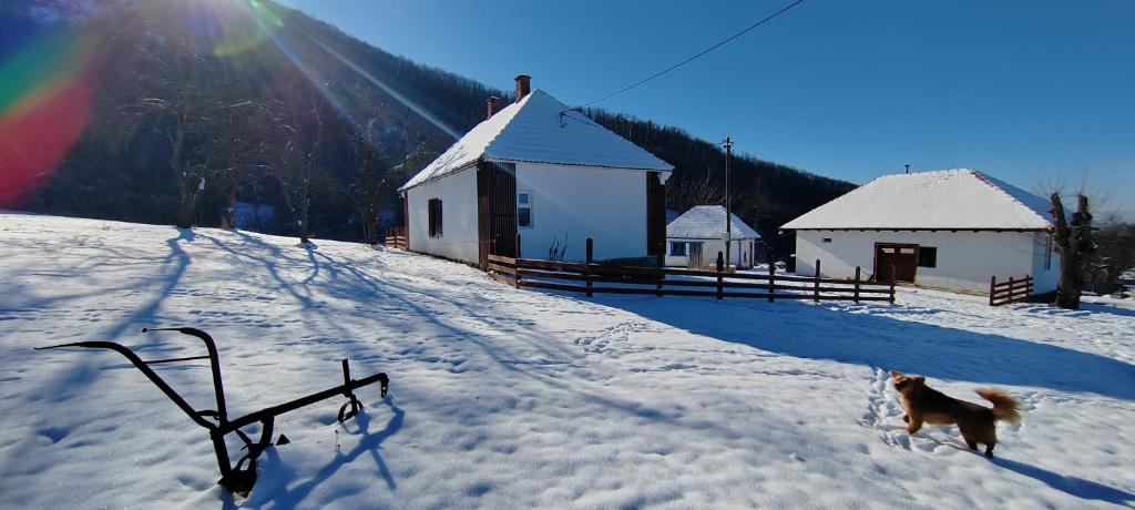 Kuća u planini T Polje Subjel v zimě