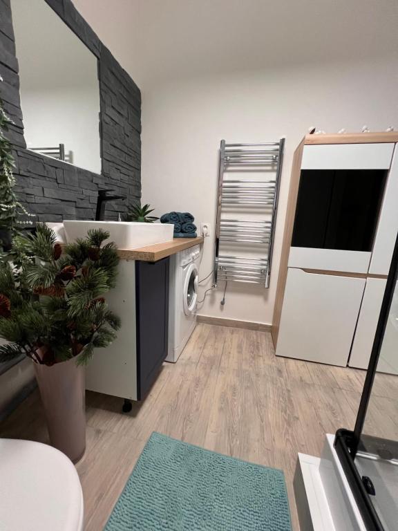 Kuchyň nebo kuchyňský kout v ubytování Apartman Liška