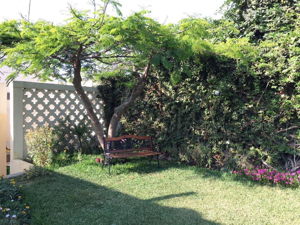 にあるLa Casa de Isidoraの庭の木の下に座るベンチ