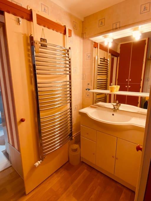 a bathroom with a sink and a mirror at Gite pour pros entre Niort et Fontenay &#47; Tout compris in Benet