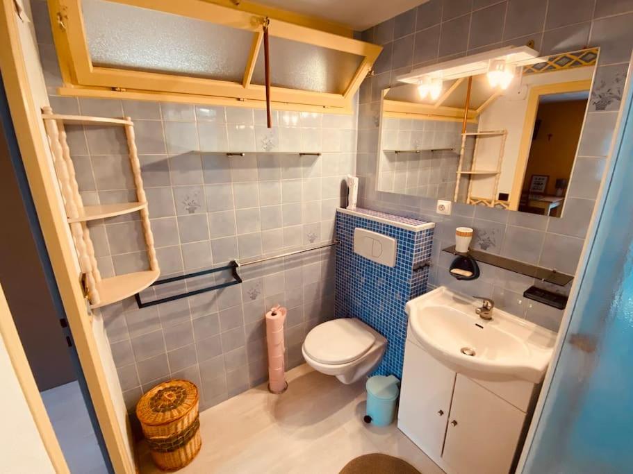 a small bathroom with a toilet and a sink at Gite pour pros entre Niort et Fontenay &#47; Tout compris in Benet