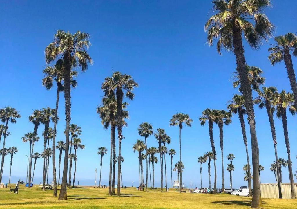 2 Free Bikes, Pvt Parking, Steps to Beach! South Mission Beach photo