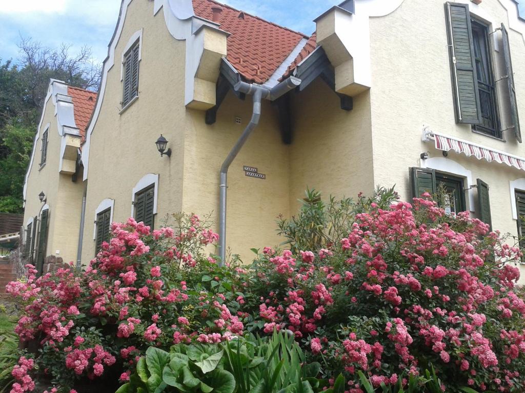 Hillside Apartments - Two-Bedroom Apartment With Terrace - A