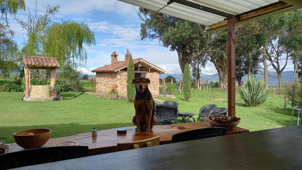 Zahrada ubytování Cabañas rurales Mano de Oso Guasca