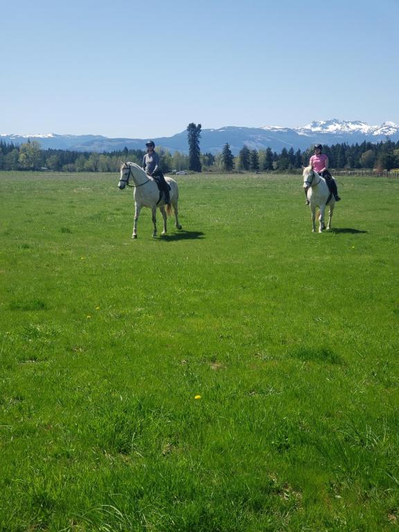Hosté ubytování Paradise Acres Ranch