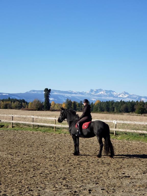 Hosté ubytování Paradise Acres Ranch