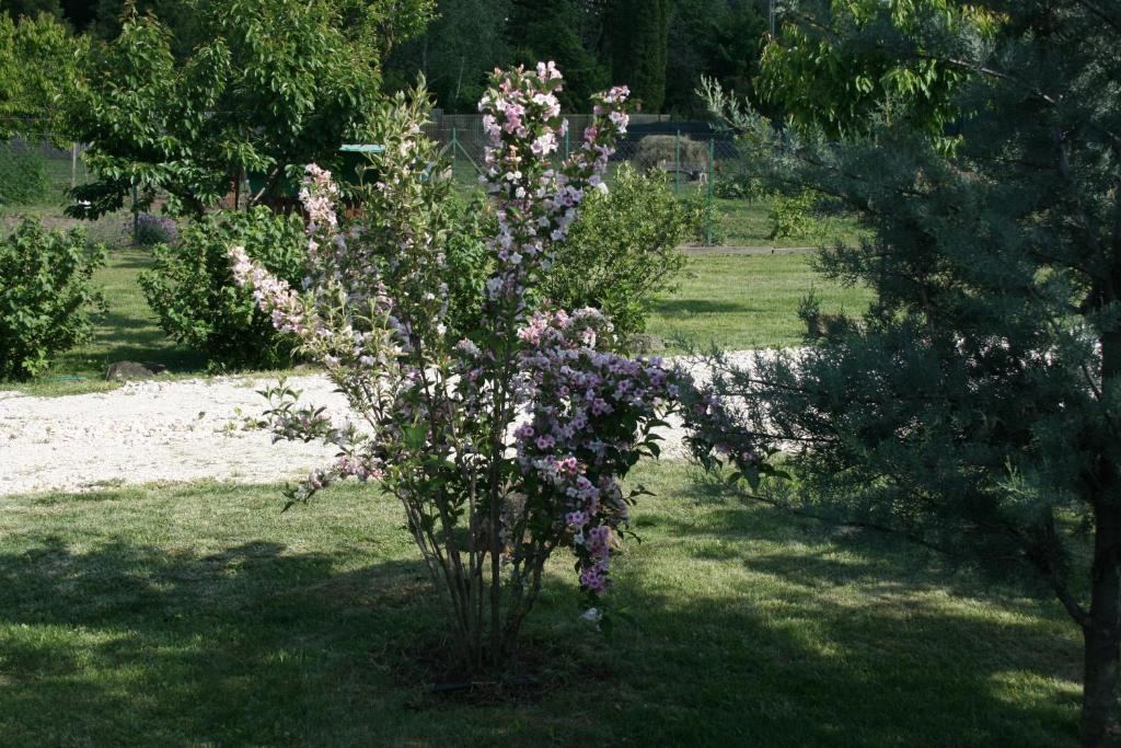 Zahrada ubytování Malomdűlő Farmház