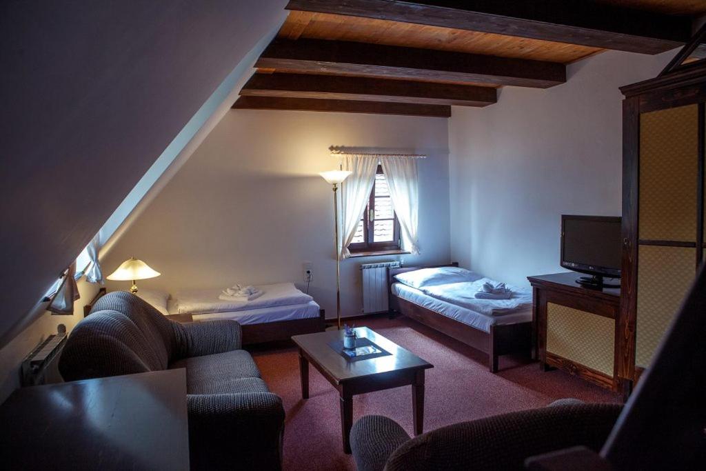 的住宿－Penzion Šiškův mlýn，酒店客房带起居室,带一张床和一张沙发。