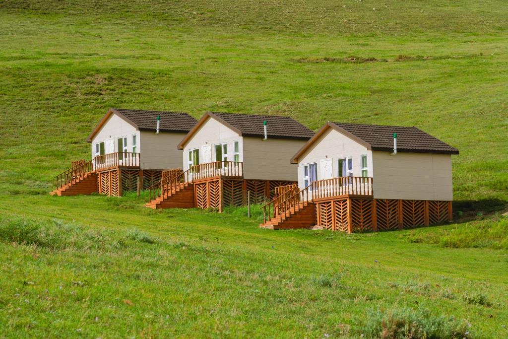 a row of houses in a field of grass at Stepperiders in Ulaanbaatar