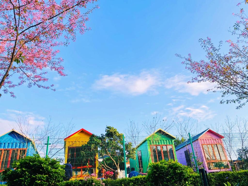 a row of colorful houses in a park at Homestay Gió Mộc in Mộc Châu