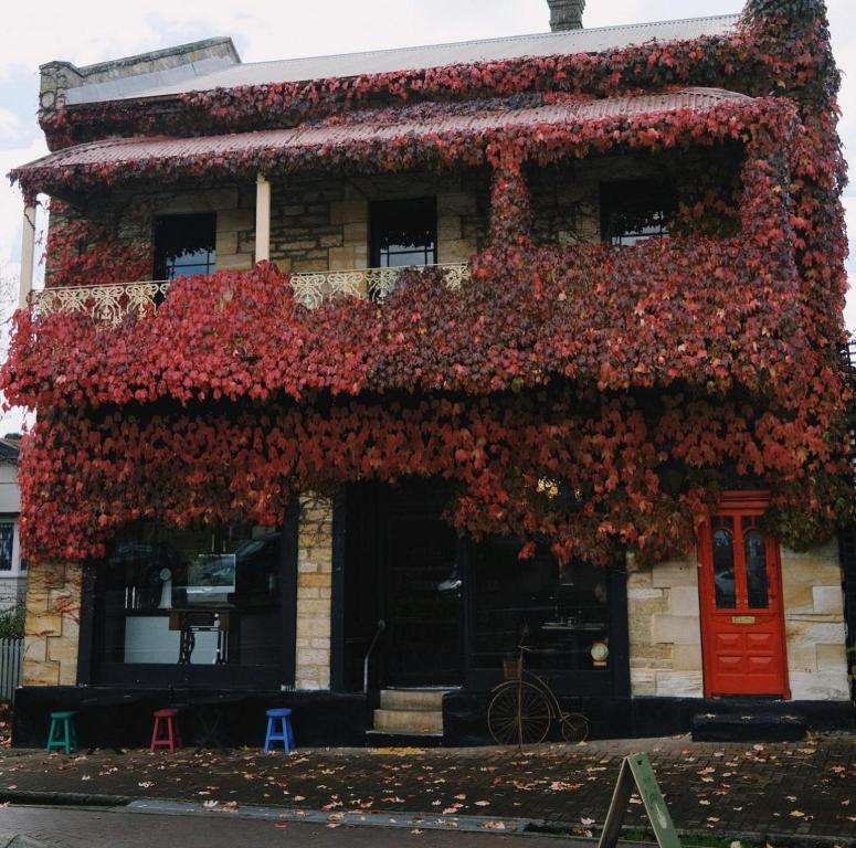 a building with a bunch of red ivy on it at The Boston Ivy 1880 - The Residence in Mittagong