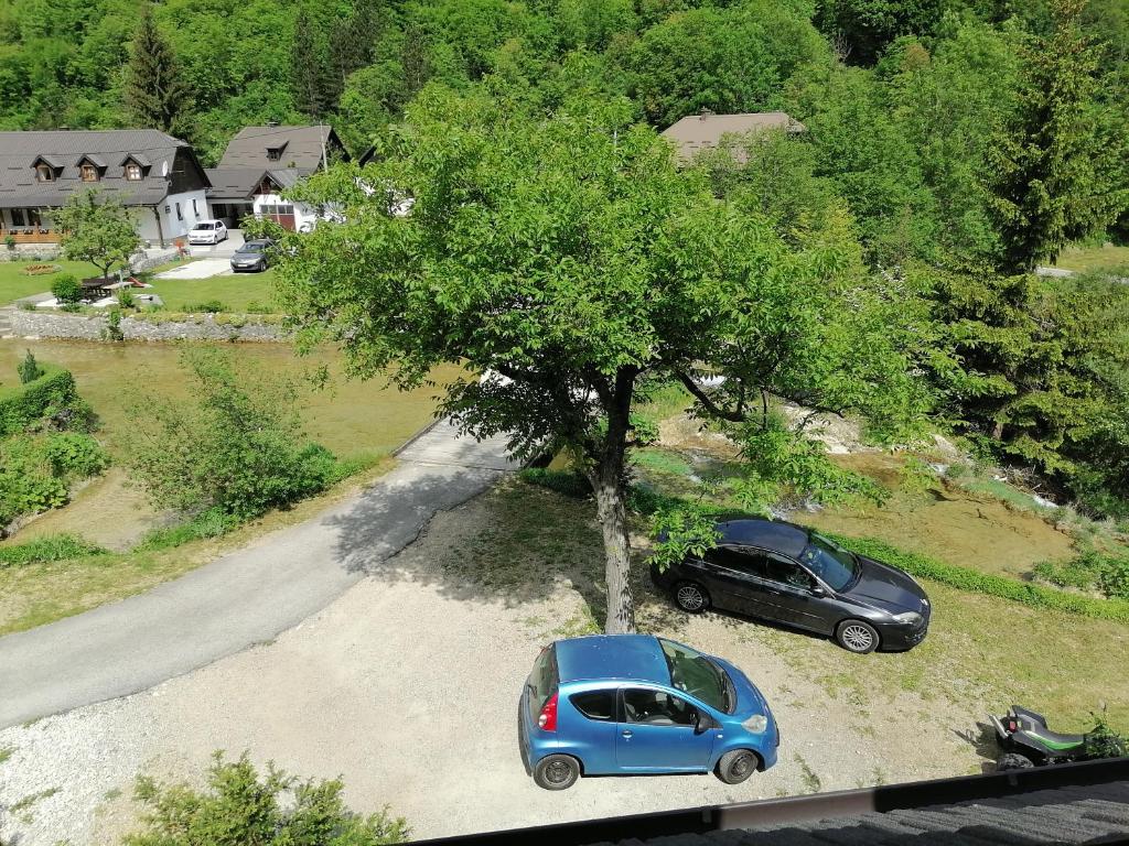 Príroda v okolí penziónu