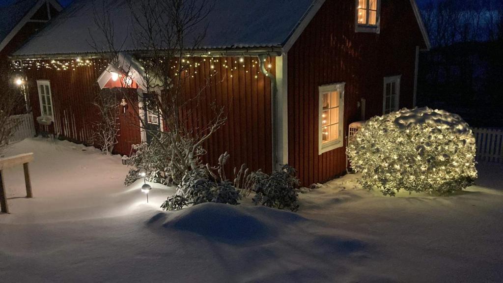 Fogdarps B&B -Eget gästhus- v zimě