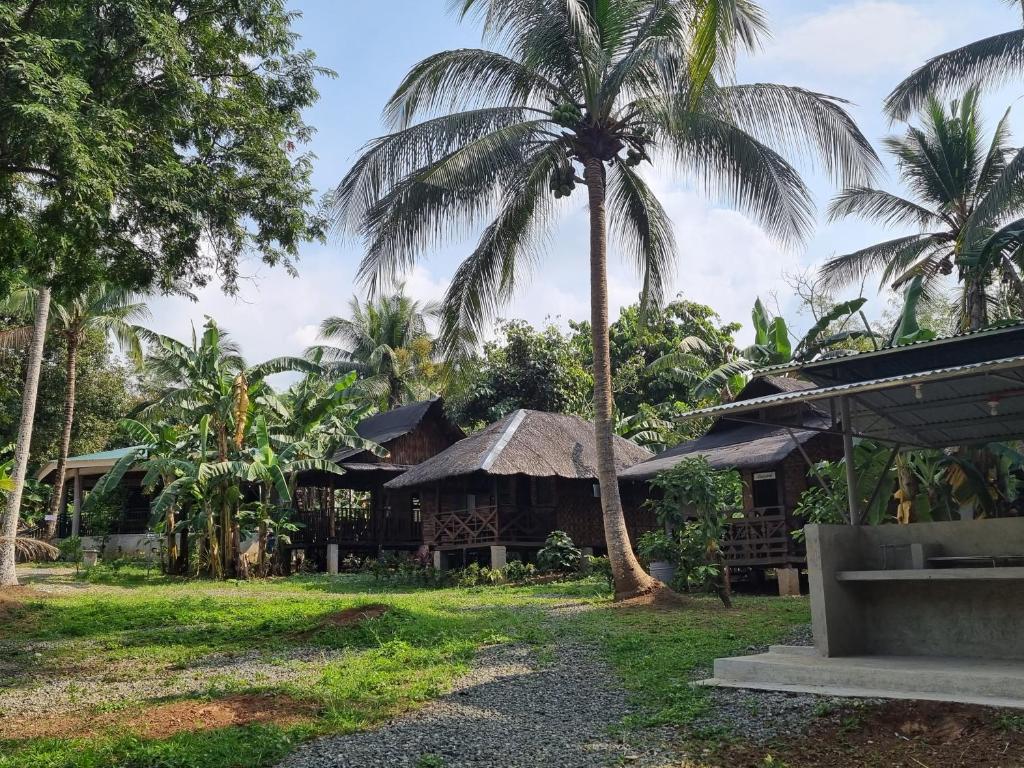 a house with a palm tree in front of it at California Breeze Campsite in Indang