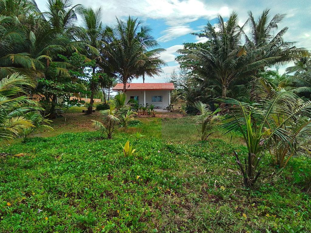 a house in the middle of a field with palm trees at The Rock Coco Villa in Ban Laem Pom