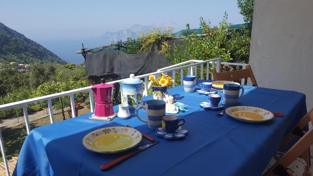Táj Show holiday homes közelében