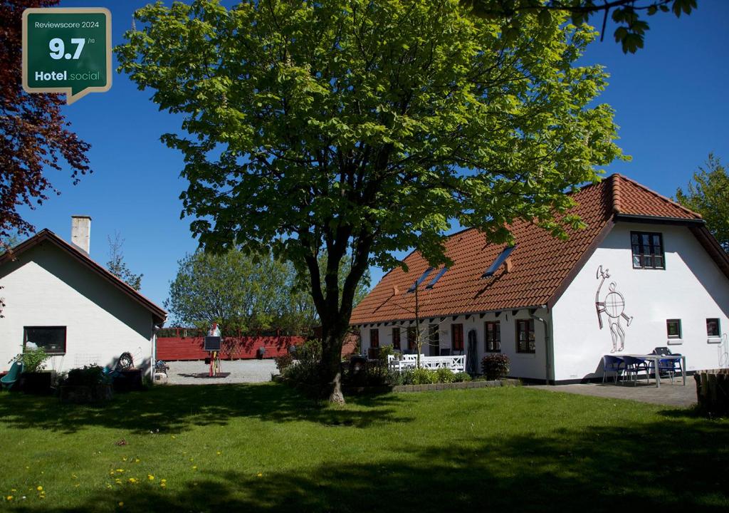 um edifício branco com uma árvore em frente em Fuglsang Bed & Breakfast em Hjørring