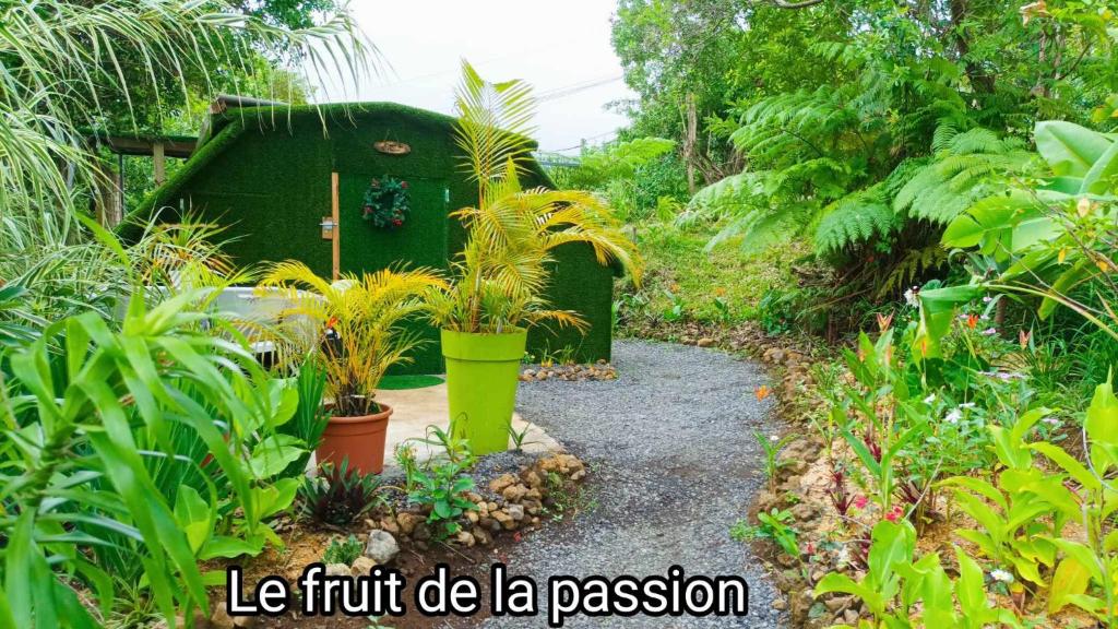 um jardim com uma casa verde e algumas plantas em CAMPING le fruit de la passion em Saint-Louis