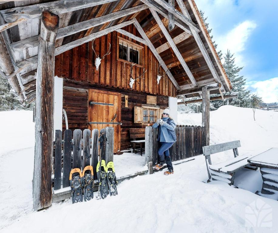 Waldhütte KOSAK - jetzt neu mit Bad & WC v zimě