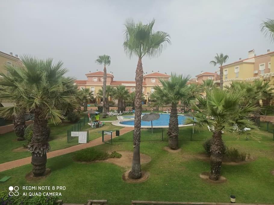 un grupo de palmeras en un parque con piscina en Unifamiliar 3 dormitorios Casa Mar, en Islantilla