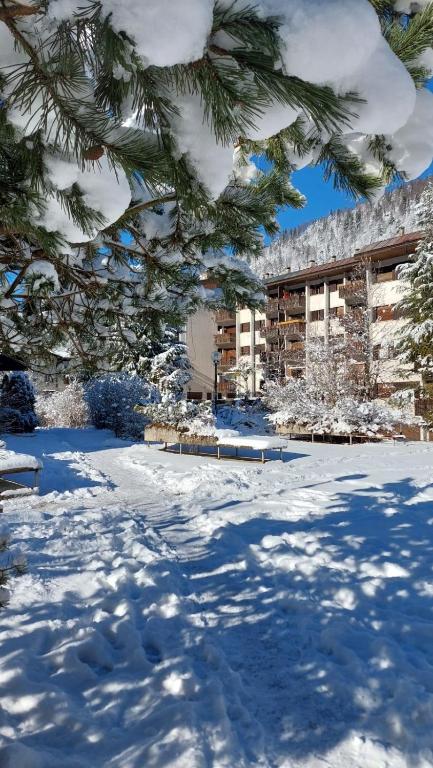 a snow covered yard with a building in the background at Mountain Apartment Rododendro in Tarvisio