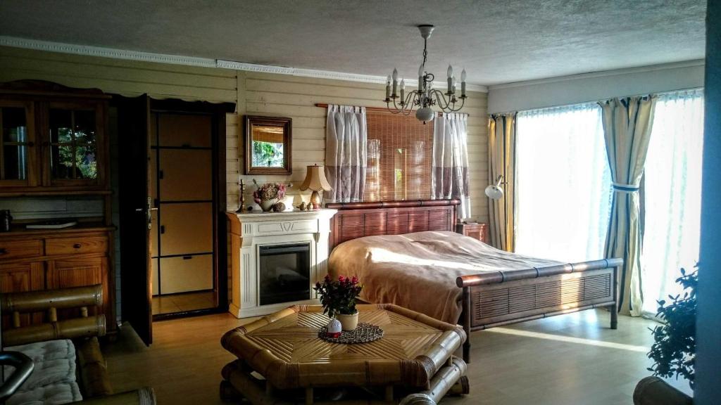 a bedroom with a bed and a fireplace and a table at b Ferienhaus Unterfranz I b in Bad Doberan