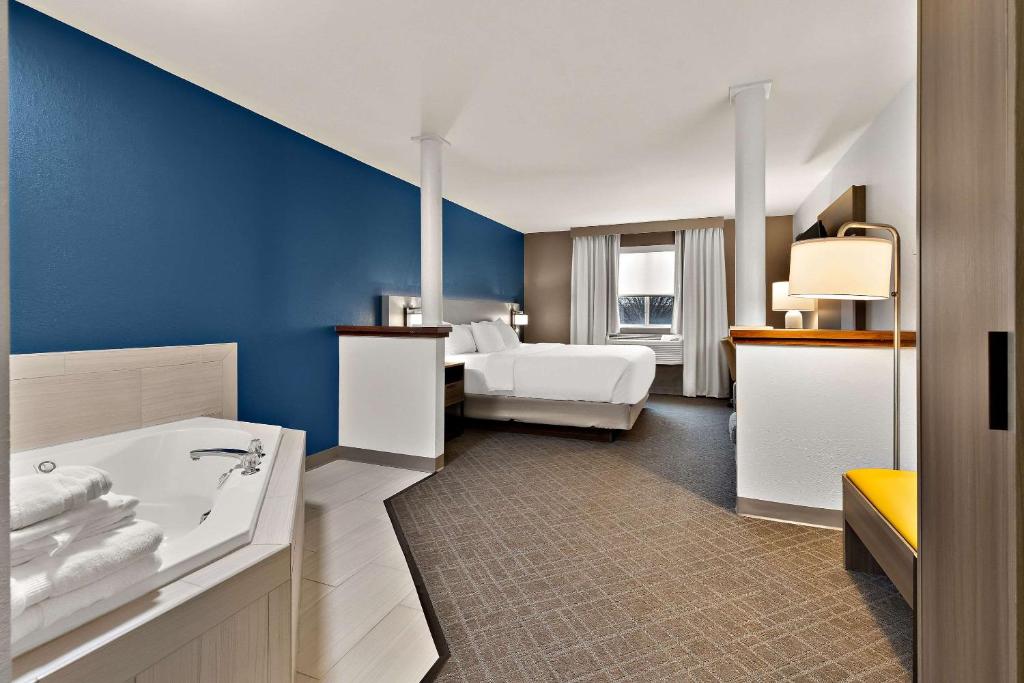 Comfort Inn & Suites Fremont - Suite Met 1 Slaapkamer, Kingsize Bed En Spabad