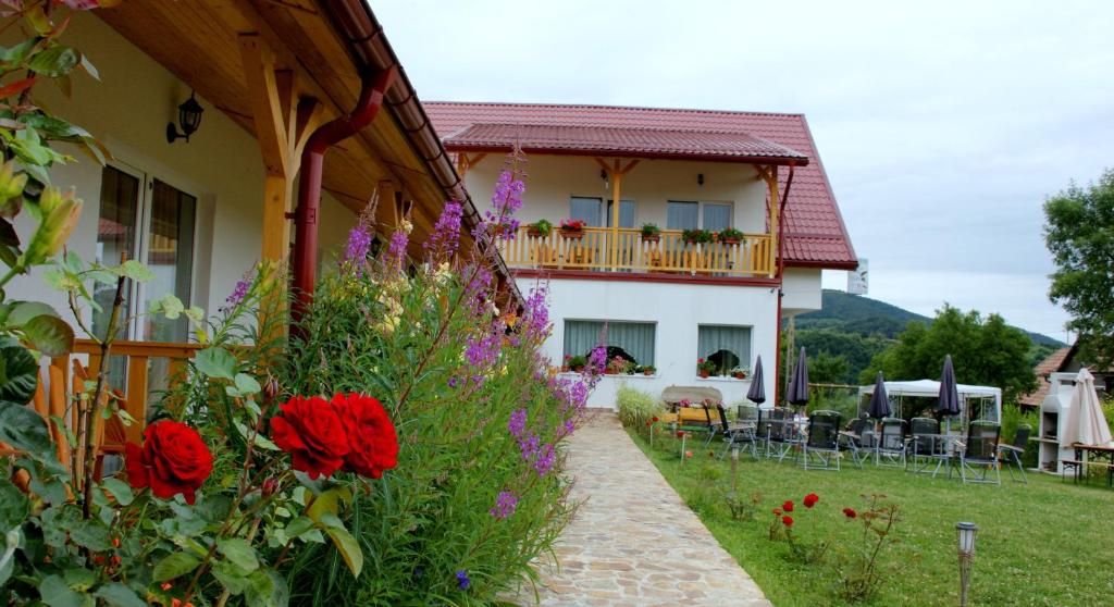 a house with red flowers on the side of it at Pensiunea Poezii Alese in Valea Drăganului