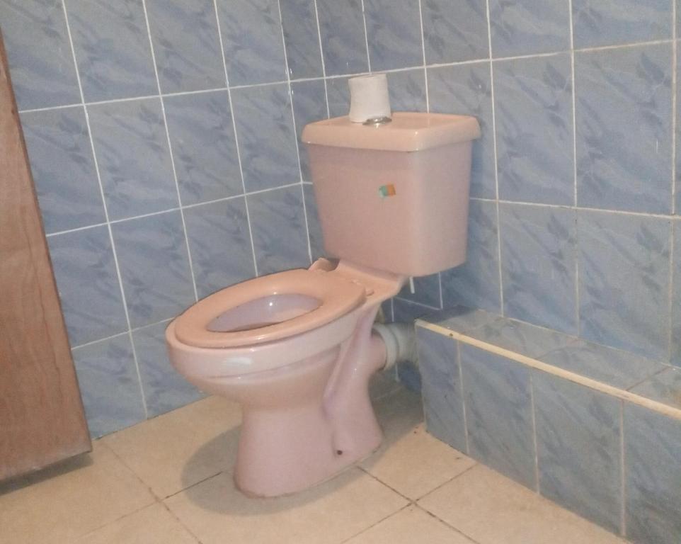 a pink toilet in a bathroom with blue tiles at Amani homes in Thika