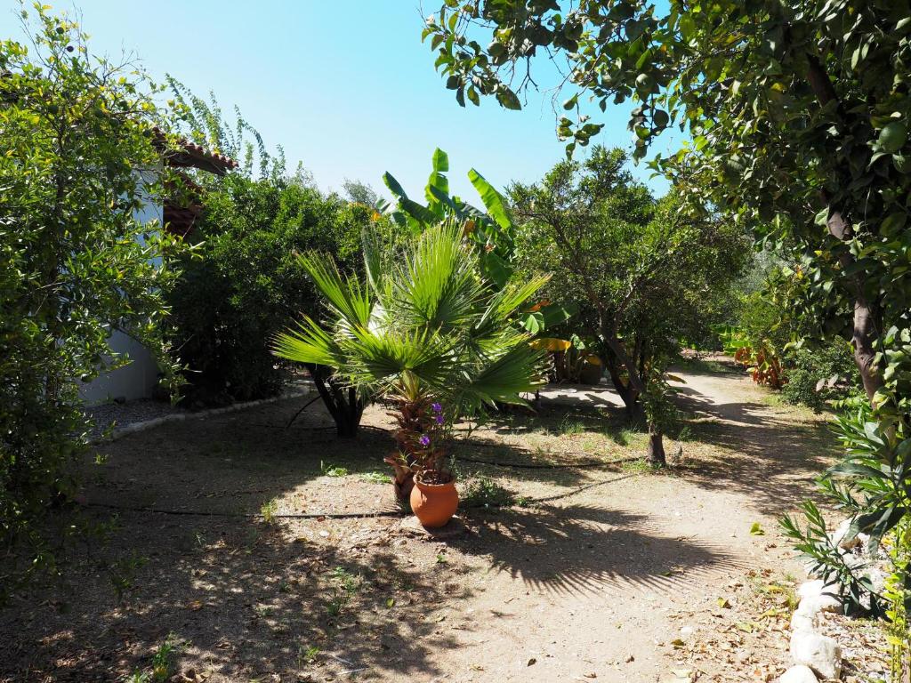 A garden outside Nikos 9