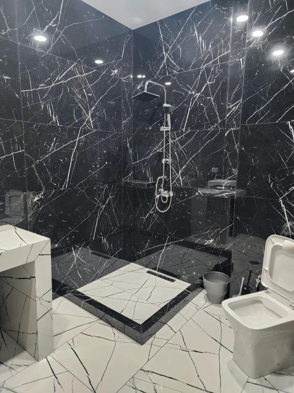 لابی و فضای عمومی Tbilisi Modern Apartments - تصویر ۵