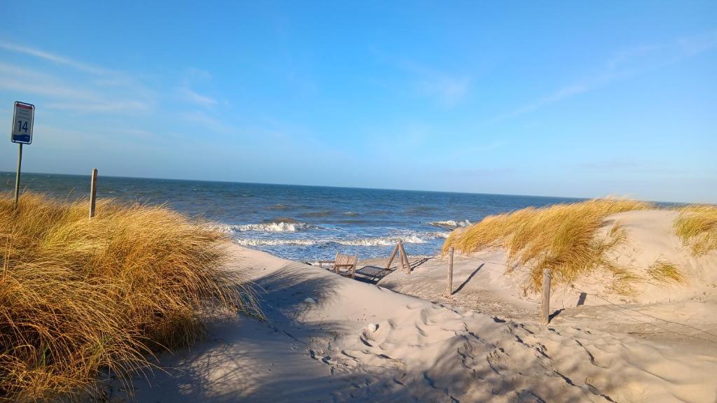 una playa de arena con césped y el océano en el fondo en Fewo Muschel incl Kurkarte Parkplatz und strandnah, en Ahrenshoop