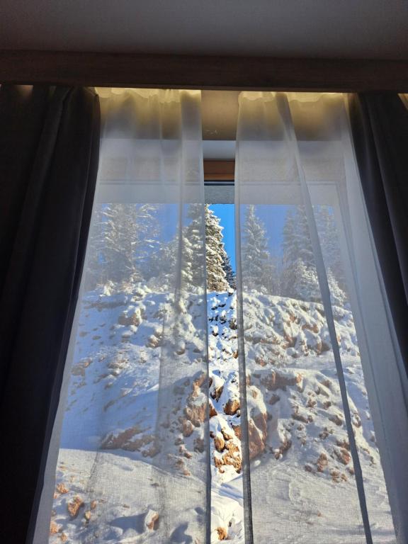 Aparthotel Vucko Jahorina NEW 451 v zimě